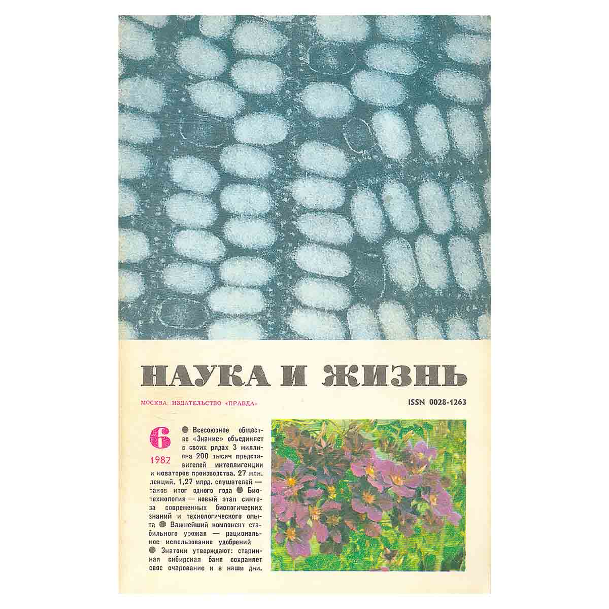 Журнал Наука и жизнь. Выпуск 6 за 1982 год