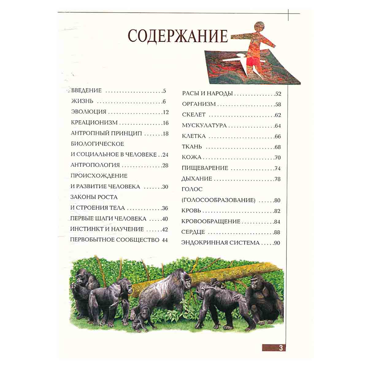 Эрудит. Эволюция человека