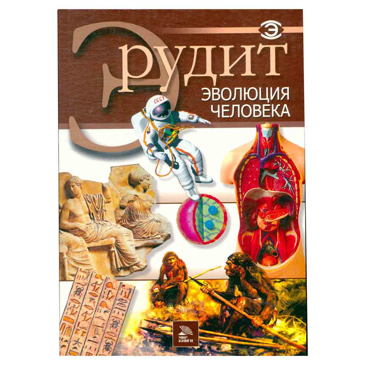 Эрудит. Эволюция человека