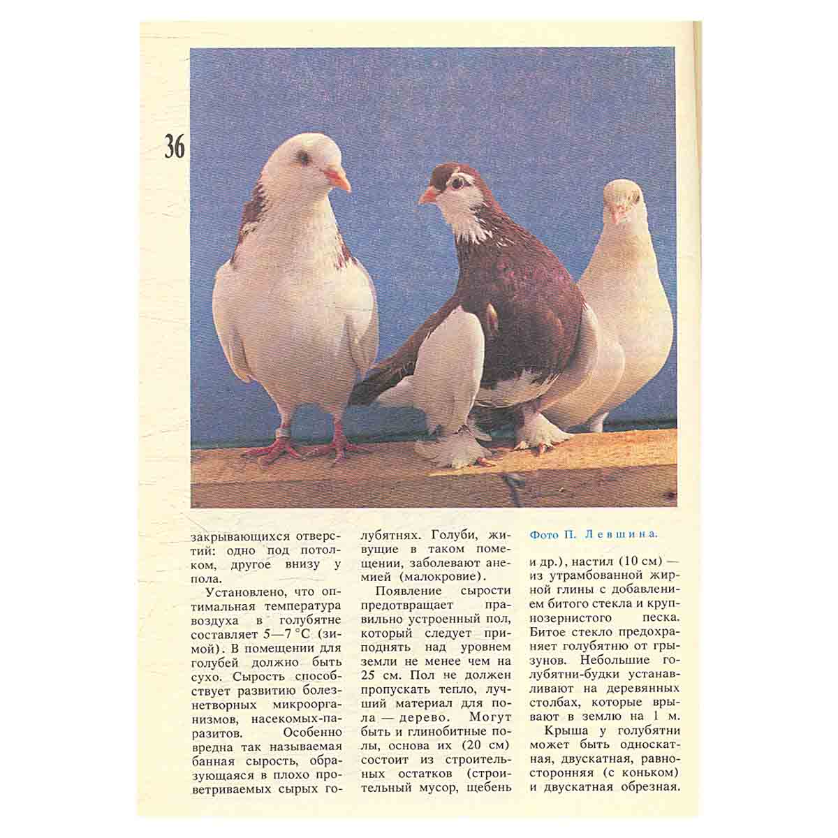 Декоративные и певчие птицы. Альманах, №1, 1991