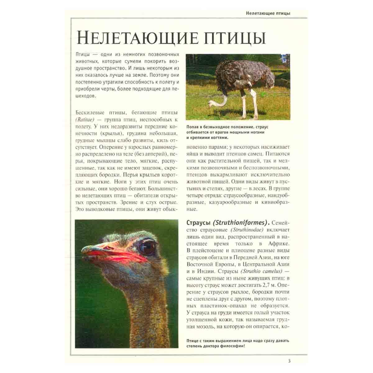 Большая Иллюстрированная энциклопедия. В 32 томах. Том 13. Кие-Кон