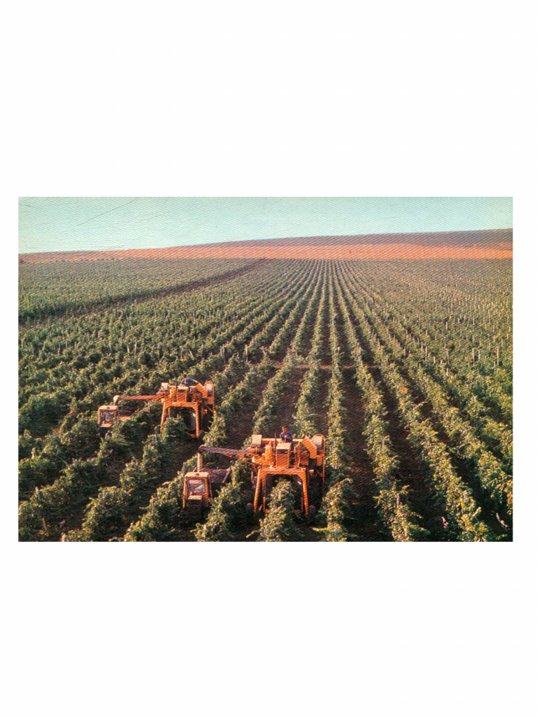 Советская Молдавия, набор открыток