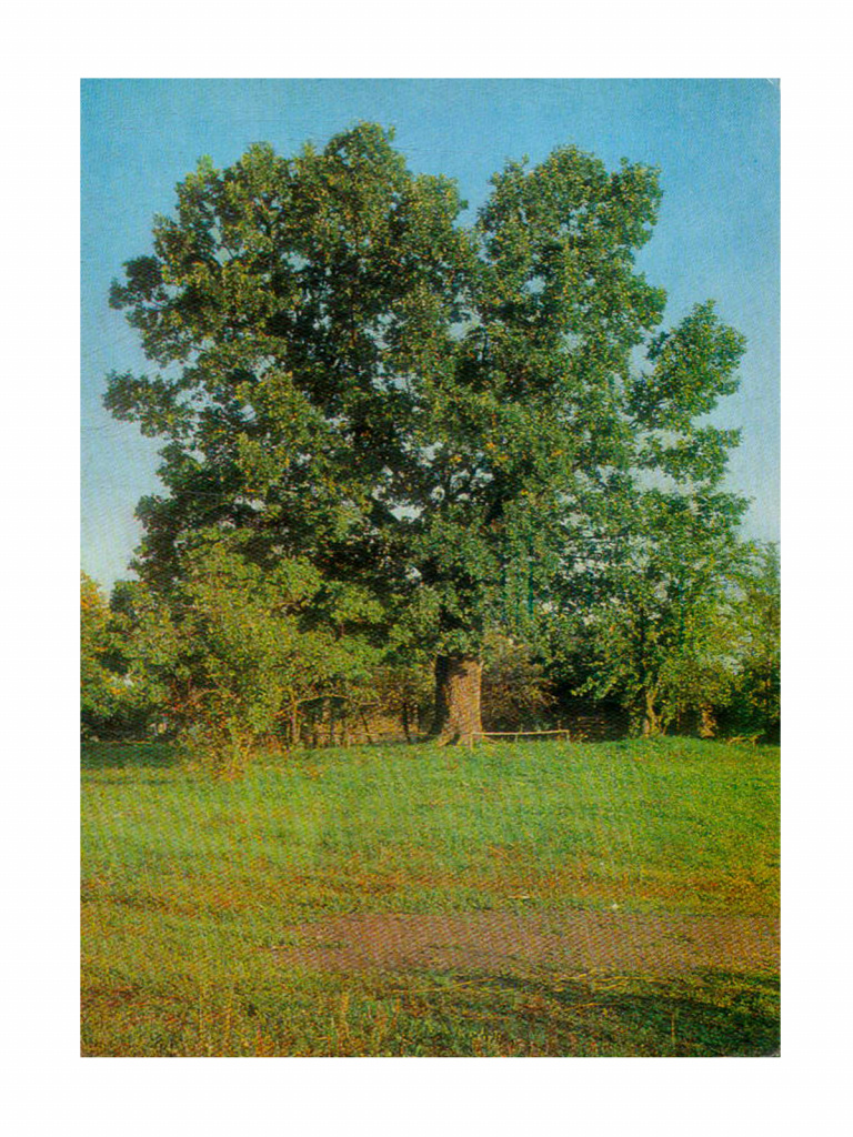 Государственный музей-заповедник М. П. Мусоргского, набор открыток